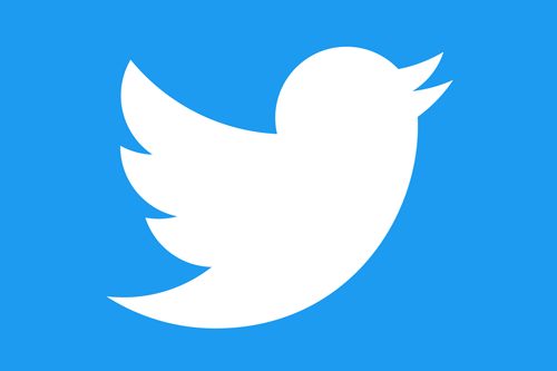 Twitter logo - white bird on blue background