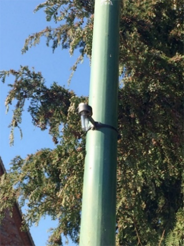 Photograph showing a diffusion tube fitted on to a lamp post to measure levels of nitrogen dioxide in the air.