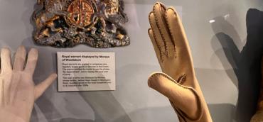 museum exhibit gloves